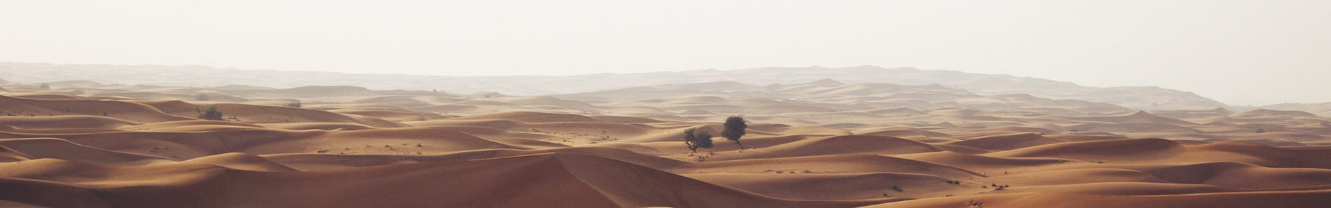 ľ޹˾